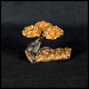 063-1011